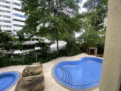 Mount Elizabeth Link (D9), Condominium #585130621